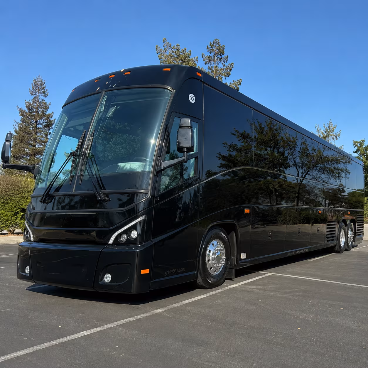 volunteer and outreach group buses for st petersburg ministries